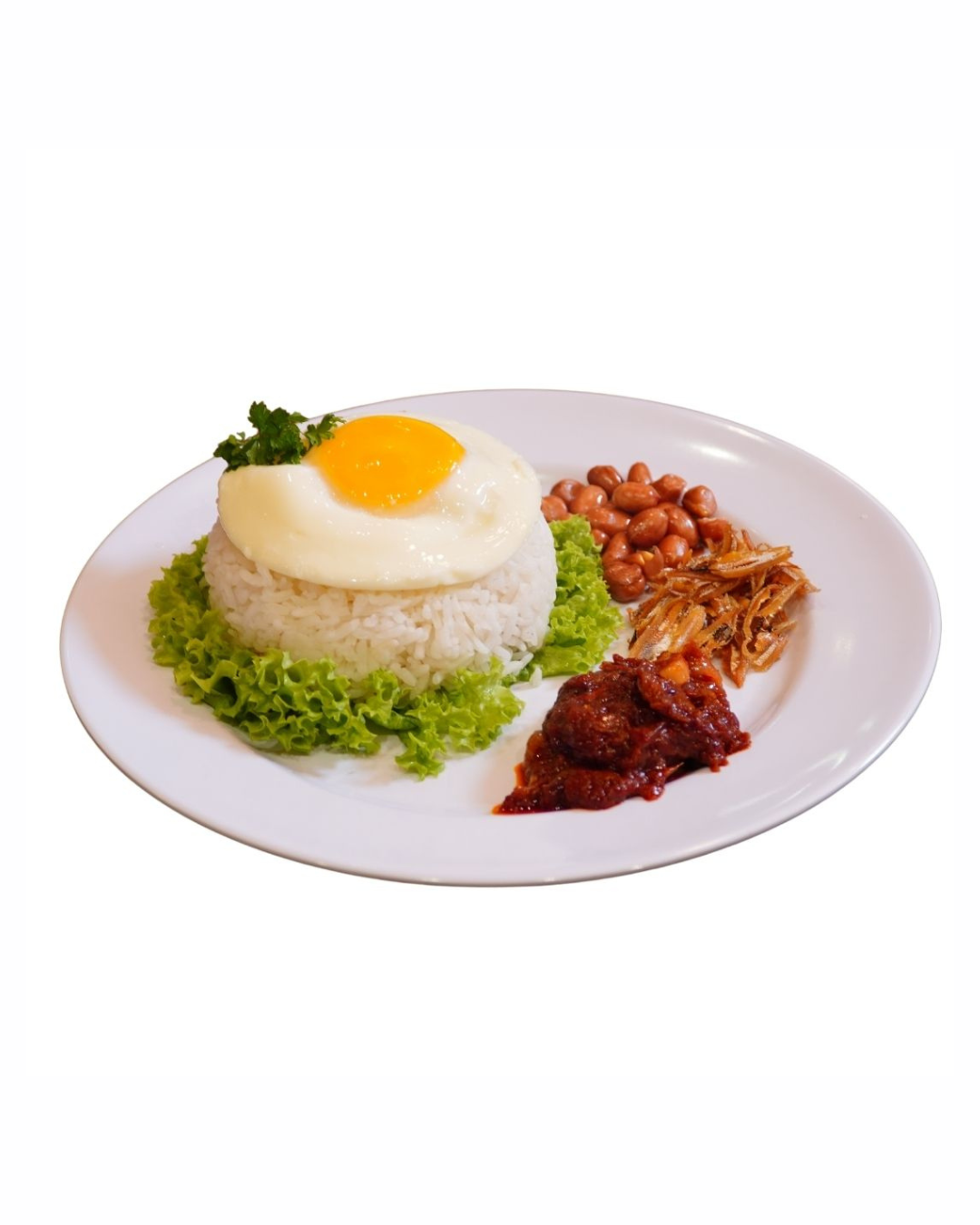 Nasi Lemak Biasa